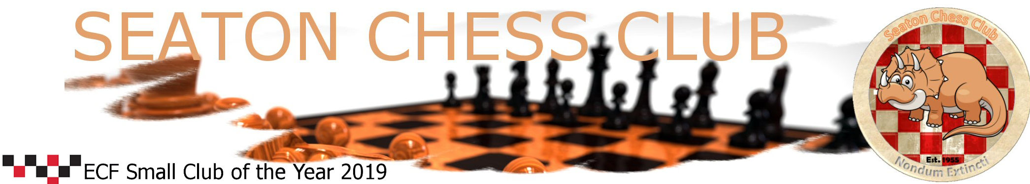 Seaton Chess Club Banner